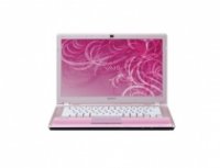 Sony VAIO VGN-NW250F/B